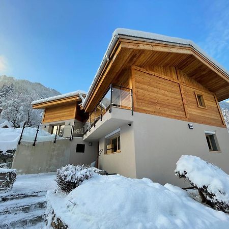 Chalet Le Point De Vue シャモニー エクステリア 写真