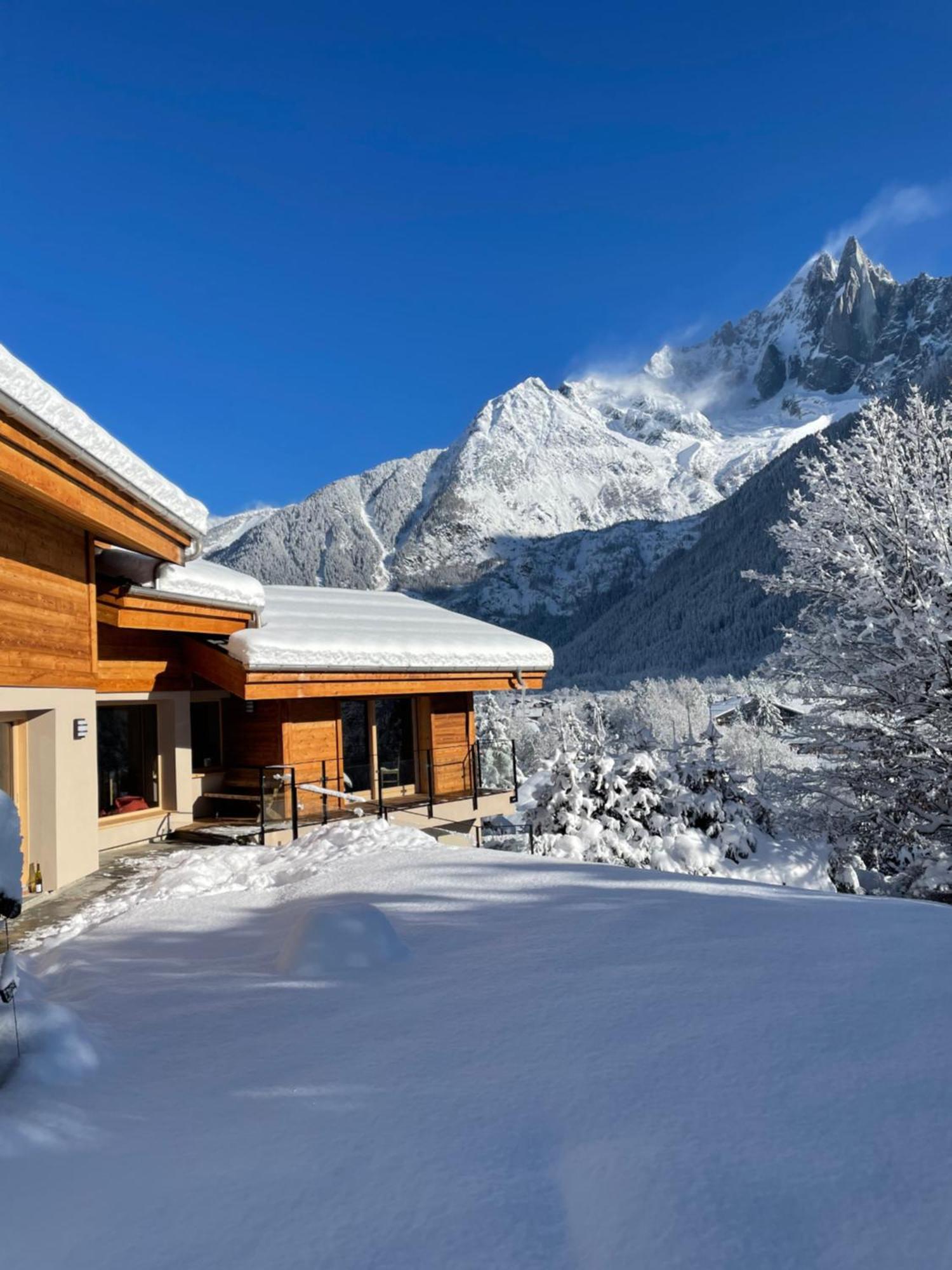 Chalet Le Point De Vue シャモニー エクステリア 写真
